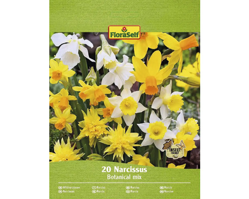 Blumenzwiebel Narzisse FloraSelf ' Wild Wonders ' 20 Stück