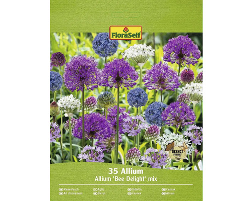 Blumenzwiebel Zierlauch FloraSelf ' "Bee Delight" Mischung ' 35 Stück