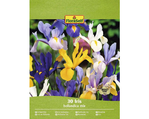 Bulbes d'iris FloraSelf 'Hollandica Mixed' 30 pièces