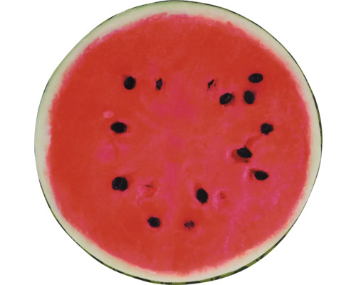 Angeschnittene Wassermelone mit Kernen