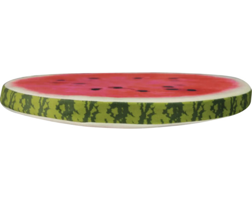 Wasserscheibe mit Kernen