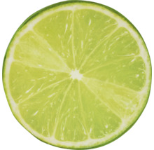 Limetten Scheibe
