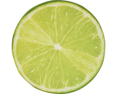 Limetten Scheibe