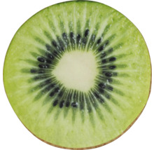 Eine Kiwi-Scheibe mit Kernen