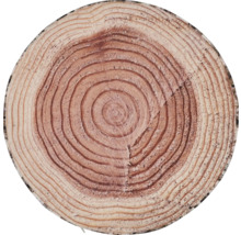 Baumscheibe mit Jahresringen