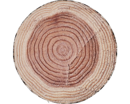 Baumscheibe mit Jahresringen