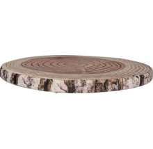 Baumscheibe aus Holz