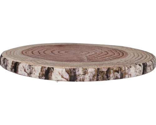 Baumscheibe aus Holz