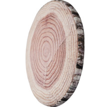 Baumscheibe mit Jahresringen