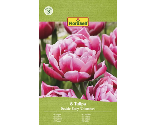 Blumenzwiebel Tulpe FloraSelf ' Columbus ' 8 Stück