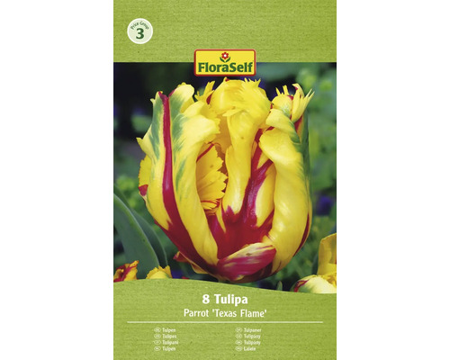 Bulbes de tulipes FloraSelf 'Texas Flame' 8 pièces