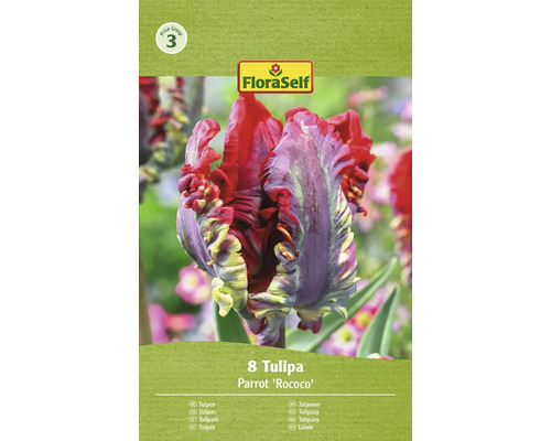 Bulbe Tulipe FloraSelf ' Rococo ' 8 pièces