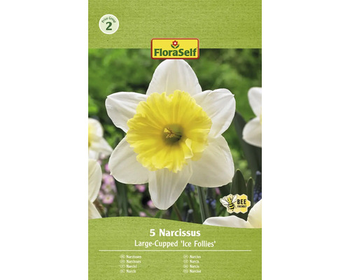 Bulbes de narcisses FloraSelf 'Ice Follies' 5 pièces