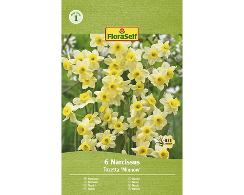 Blumenzwiebel Narzisse FloraSelf 'Minnow' 6 Stück