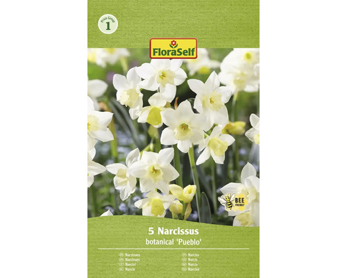 Blumenzwiebel Narzisse FloraSelf 'Pueblo' 5 Stück