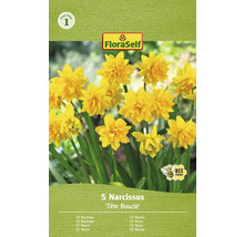 Bulbes de narcisses FloraSelf 'Tête Bouclé' 5 pièces