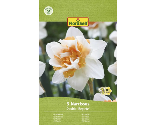 Blumenzwiebel Narzisse FloraSelf ' Replete ' 5 Stück