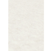 Carrelage avec structure de marbre