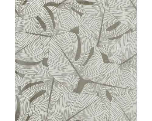 Papier peint feuille de Monstera