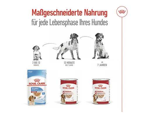Royal Canin Hundenahrung für jede Lebensphase des Hundes, dargestellt durch drei Hunde verschiedener Altersstufen und drei Produktverpackungen
