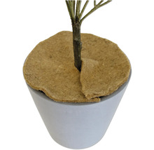 Pot de fleurs avec revêtement en fibre de coco
