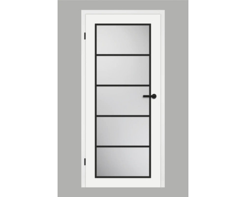 Porte intérieure blanche avec cinq panneaux de verre rectangulaires et cadre noir
