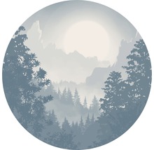 Kreisförmiges Bild einer Nebellandschaft mit Bergen und Bäumen