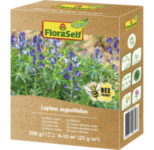FloraSelf Sachet de graines de lupin bleu