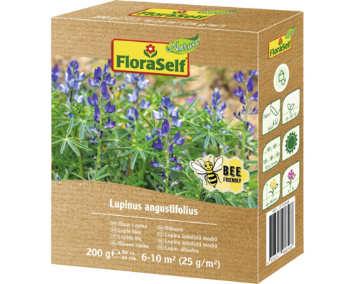 FloraSelf Sachet de graines de lupin bleu