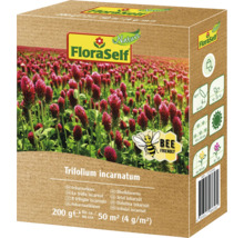 Paquet de graines de trèfle incarnat FloraSelf