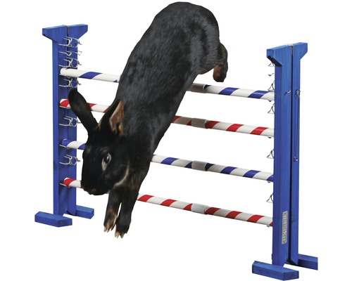 Un lapin noir saute par-dessus un obstacle bleu avec des barres.