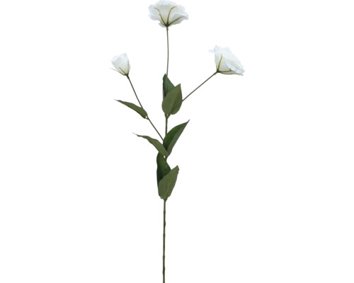 Fleur artificielle Lisicodon grandiflorum fibre synthétique métal plastique 69 cm blanc