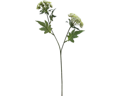 Fleur artificielle Daucus carota 49 cm blanc