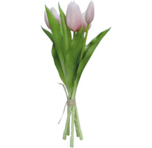 Bouquet de tulipes avec tiges vertes et fleurs roses