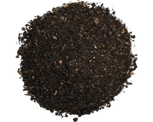 Nahaufnahme von Blumenerde