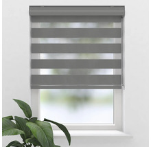 Fenster mit grauem Doppelrollo zur Lichtregulierung