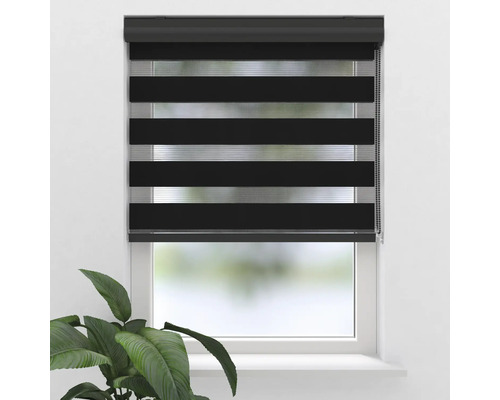 Fenster mit schwarzem Doppelrollo zur Lichtregulierung