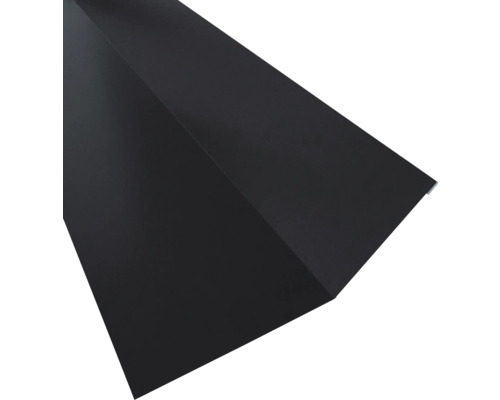 Firstfalz Dachblech