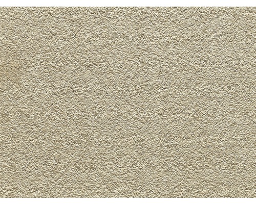 Spannteppich Saxony Lester creme 500 cm breit (Meterware) Nahaufnahme einer Putzoberfläche