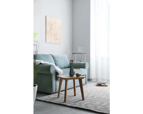 Salon avec canapé, table en bois et tapis