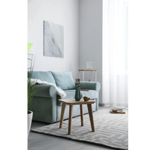 Wohnzimmer mit Sofa, Couchtisch und Teppich