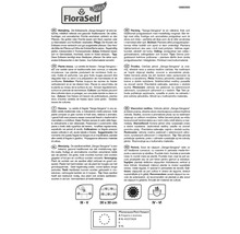 Informations sur la variété de fraises Senga Sengana, vivace, distance de plantation et passeport phytosanitaire