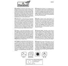 Informations sur la variété de fraise White Pineberry, instructions de plantation, espacement des plants 30 x 30 cm, passeport phytosanitaire