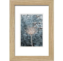 Gerahmtes Bild mit Pflanzenmotiv