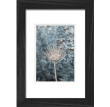 Gerahmtes Bild einer einzelnen Blume