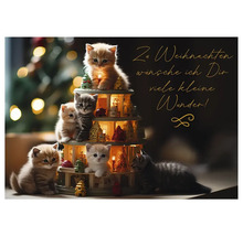 Weihnachtskarte mit Katzenwelpen auf einer Dekoration mit dem Text Zu Weihnachten wünsche ich Dir viele kleine Wunder!