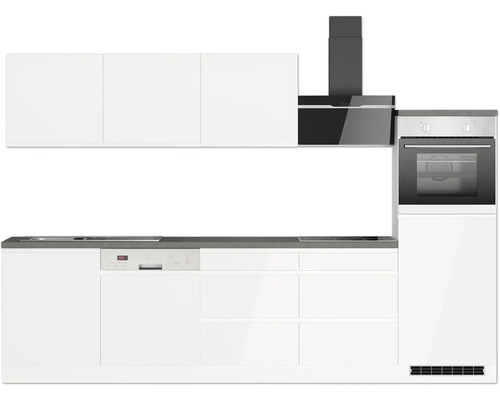 Cuisine équipée avec évier, lave-vaisselle, four et hotte aspirante