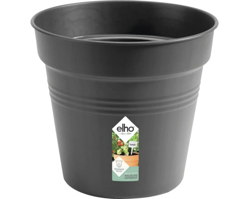 Godet de culture pot de culture elho Green Basics plastique Ø 15 H 14 cm noir Pot de fleurs foncé avec le logo Elho et des informations sur les trous de drainage et les matériaux recyclés