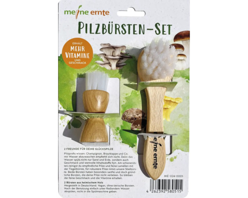 Brosse de nettoyage meine ernte set de brosses à champignon grosse et petite, en bois de hêtre indigène, vegan sans poils d'animaux, fabriqué en Allemagne Meine Ernte Set de brosses à champignons avec deux brosses à champignons