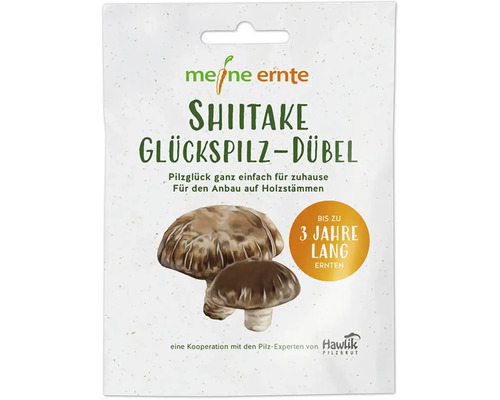 Set de culture de champignons meine ernte pieds de Shiitake avec 20 pieds pour la culture sur troncs de bois, jusqu'à 3 ans de récolte Meine Ernte Shiitake Glückspilz, chevilles, emballage pour la culture de champignons sur les billes de bois